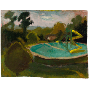 Summer Pool and Slide