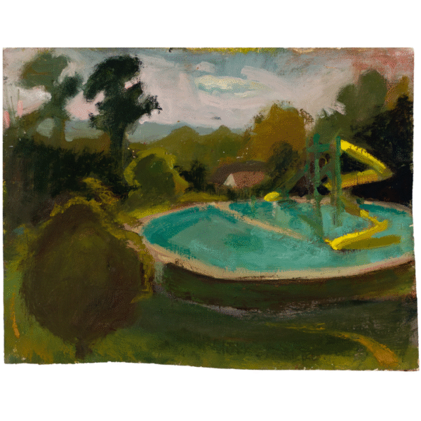 Summer Pool and Slide
