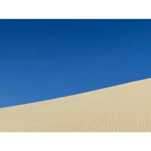 Yin 01012