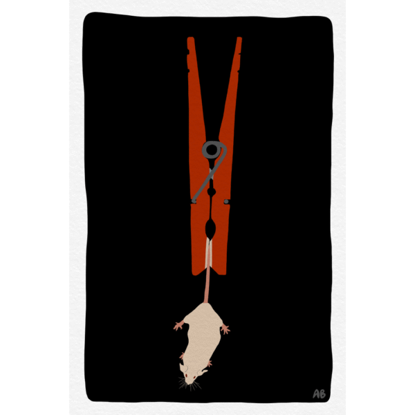 Pinned Lab Rat