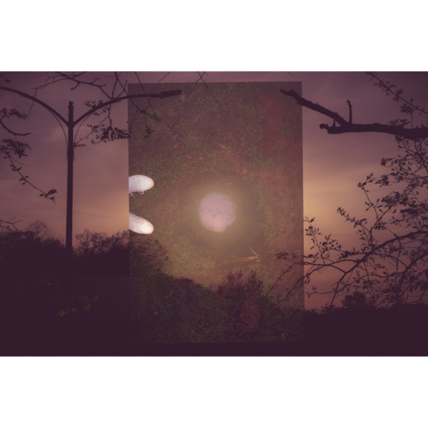 Creation Series