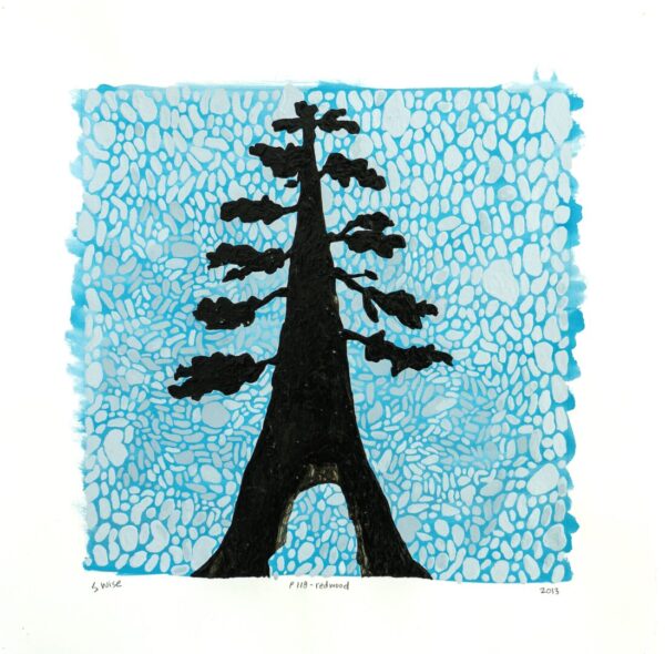P118 - redwood