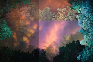 Gucci Sky