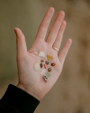 Sea Treasures