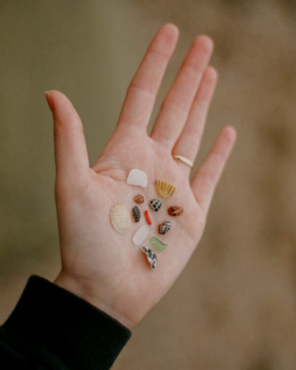 Sea Treasures
