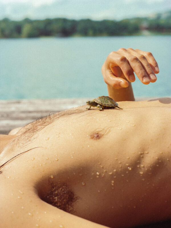Summer Friends