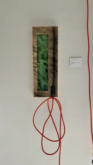 Assemblage No. 5