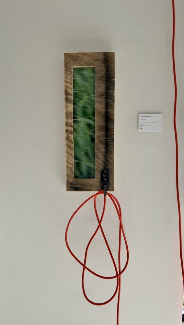 Assemblage No. 5