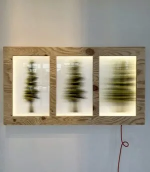 Assemblage No. 6