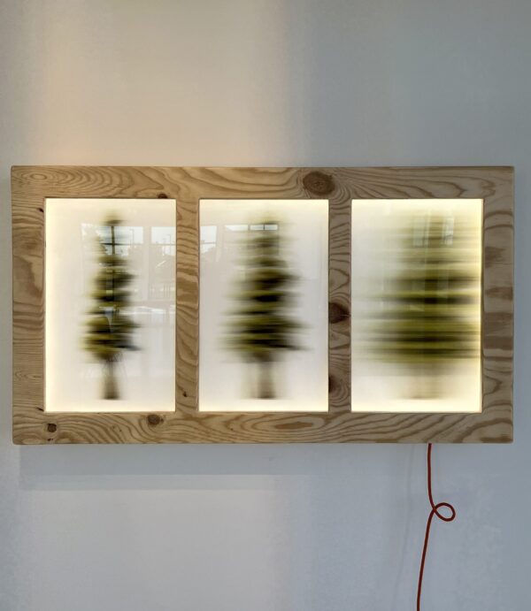Assemblage No. 6