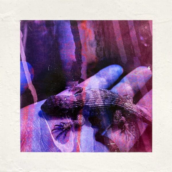 Summer Glimmer 02