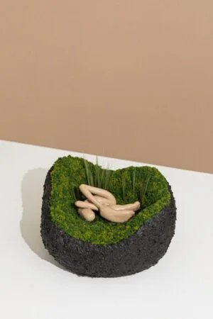 Bio Decay