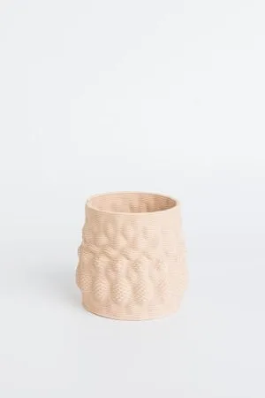 Pineapple Planter 1