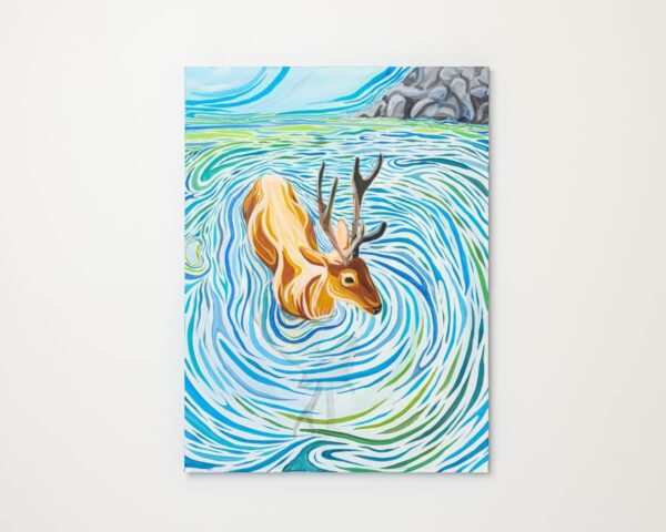 Elk in Water