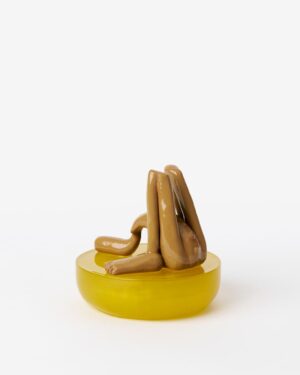 Apricus