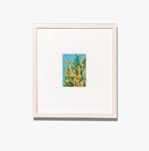 Forsythia