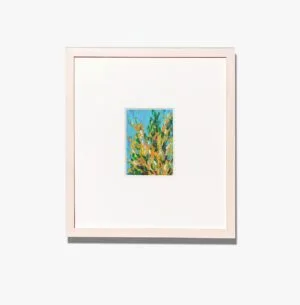 Forsythia