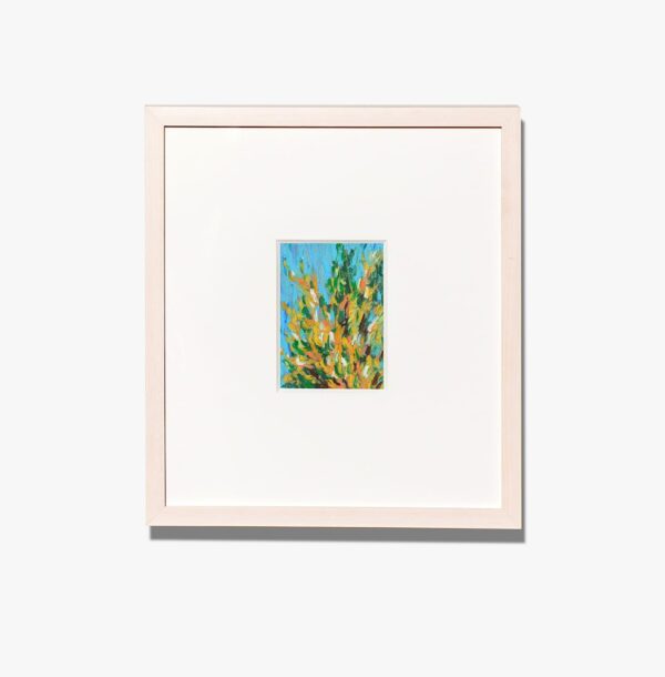 Forsythia