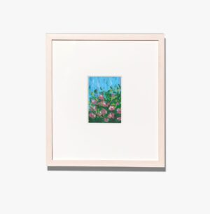 Hydrangea