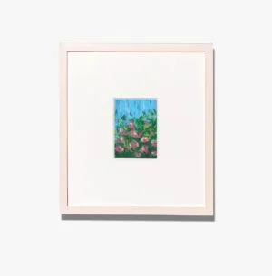 Hydrangea