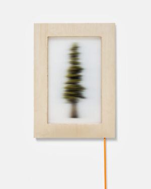 Assemblage No. 7