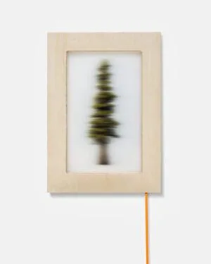 Assemblage No. 7