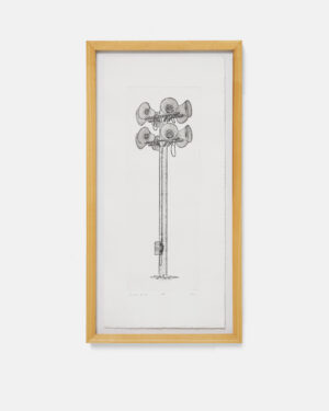 Structure No. 26 (Artist Proof)